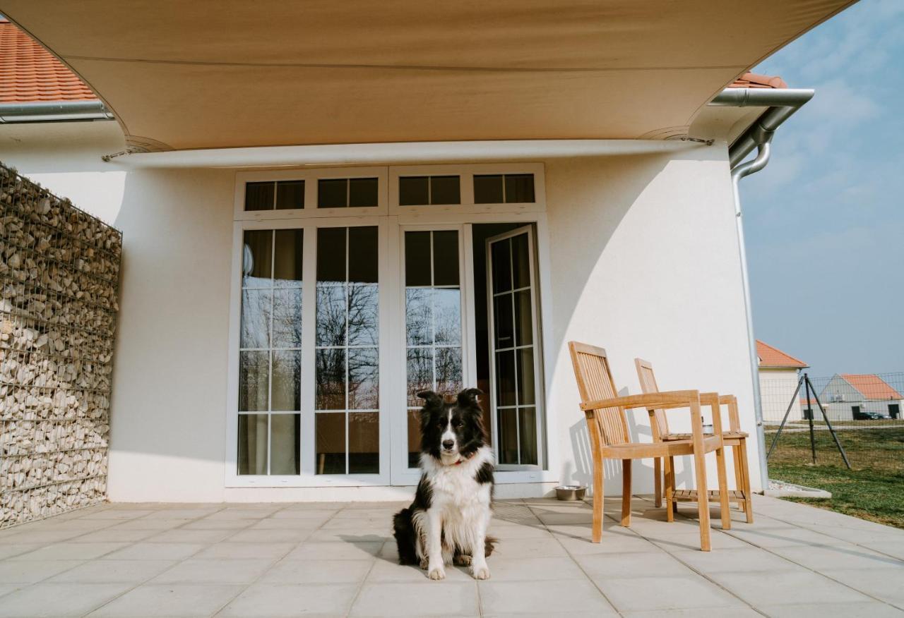 Chalets Franciska Major, Pro Village Sopronkovesd Εξωτερικό φωτογραφία